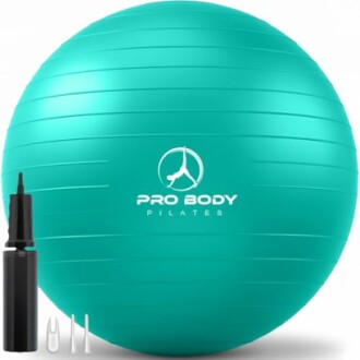 Teal exercise ball with pump and needles